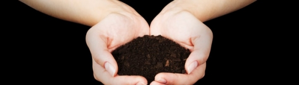 Вашингтон первым легализовал экологичный способ захоронения — компостирование тела